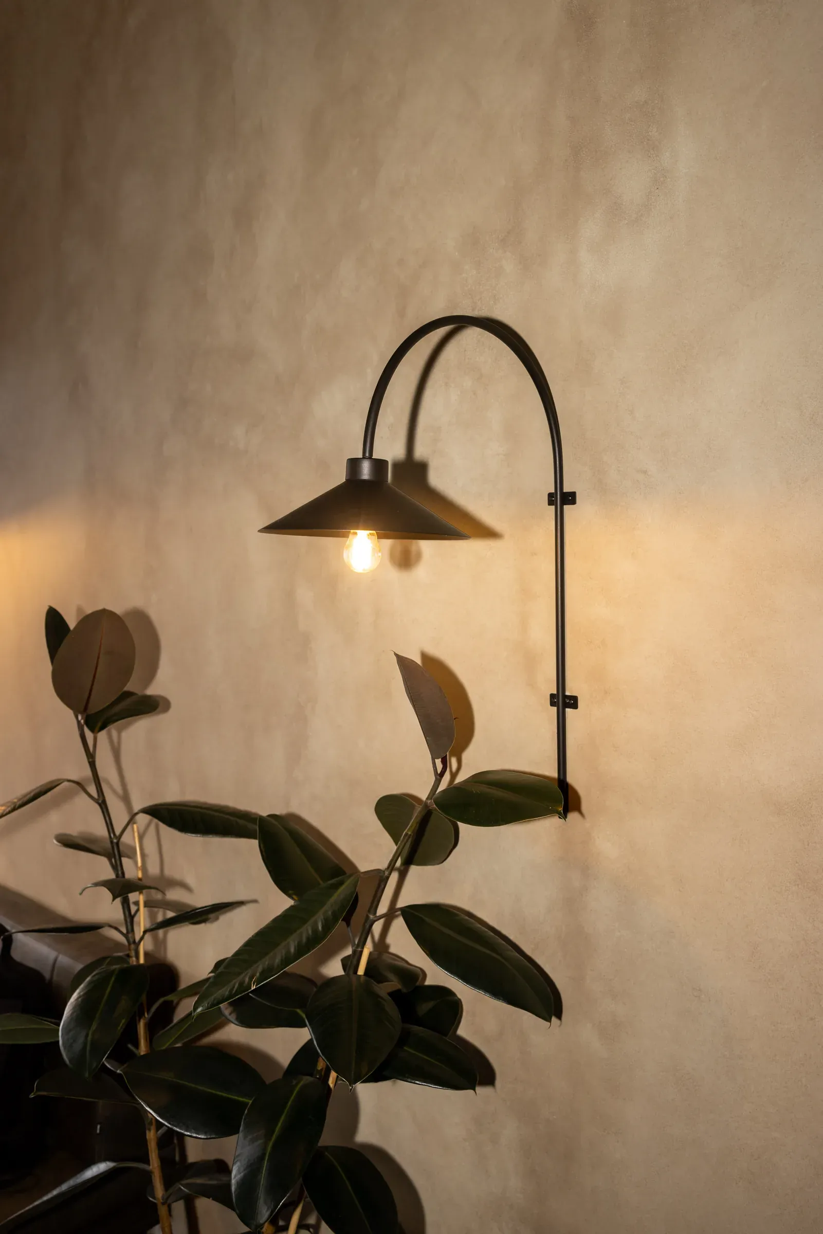A black wall light on the French Wash finish at Toast and Oak, its glow washing the layered warm plaster, with a rubber plant below